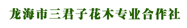 龙海市三君子花木专业合作社